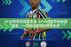 2010世界杯彩票奖金-2010年世界杯彩票奖金，一场足坛盛宴的财务乐章