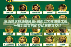 巴西世界杯决赛彩票-巴西世界杯决赛之夜，一张彩票背后的梦幻与现实交织
