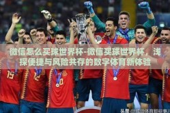 微信怎么买球世界杯-微信买球世界杯，浅探便捷与风险共存的数字体育新体验
