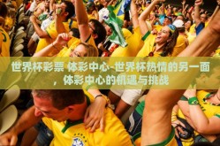 世界杯彩票 体彩中心-世界杯热情的另一面，体彩中心的机遇与挑战