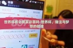 世界杯有必要买彩票吗-世界杯，赌注与梦想的碰撞
