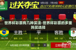 世界杯彩票有几种买法-世界杯彩票的多重购买选择
