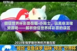 微信世界杯彩票在哪-小贴士，远离非法赌资游戏——解析微信世界杯彩票的误区