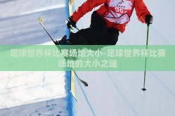 足球世界杯比赛场地大小-足球世界杯比赛场地的大小之谜