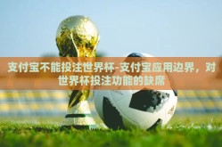 支付宝不能投注世界杯-支付宝应用边界，对世界杯投注功能的缺席
