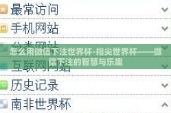怎么用微信下注世界杯-指尖世界杯——微信下注的智慧与乐趣