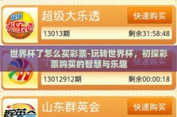 世界杯了怎么买彩票-玩转世界杯，初探彩票购买的智慧与乐趣
