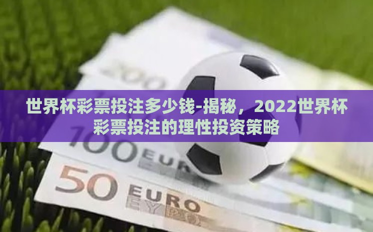 世界杯彩票投注多少钱-揭秘,2022世界杯彩票投注的理性投资策略 世界杯彩票投注多少钱-揭秘,2022世界杯彩票投注的理性投资策略