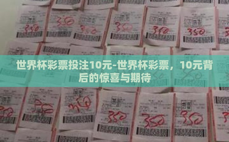世界杯彩票投注10元-世界杯彩票，10元背后的惊喜与期待