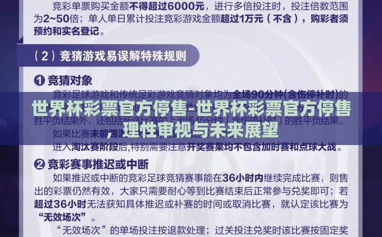世界杯彩票官方停售-世界杯彩票官方停售，理性审视与未来展望