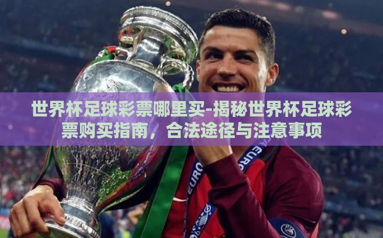 世界杯足球彩票哪里买-揭秘世界杯足球彩票购买指南，合法途径与注意事项
