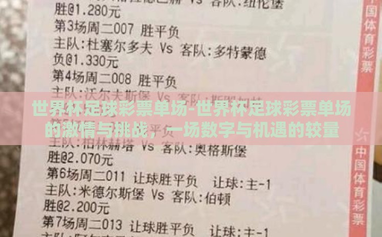 世界杯足球彩票单场-世界杯足球彩票单场的激情与挑战，一场数字与机遇的较量