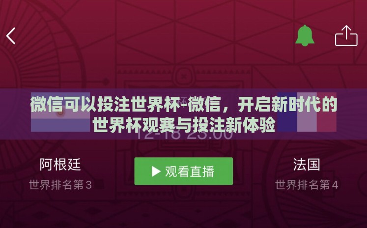 微信可以投注世界杯-微信，开启新时代的世界杯观赛与投注新体验