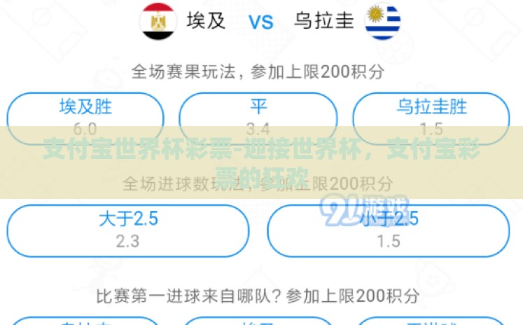 支付宝世界杯彩票-迎接世界杯,支付宝彩票的狂欢 支付宝世界杯彩票-迎接世界杯,支付宝彩票的狂欢