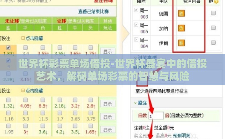 世界杯彩票单场倍投-世界杯盛宴中的倍投艺术，解码单场彩票的智慧与风险