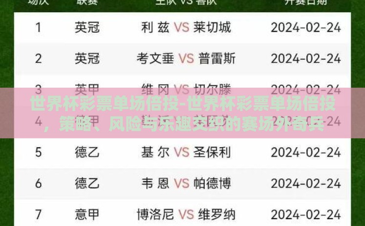 世界杯彩票单场倍投-世界杯彩票单场倍投，策略、风险与乐趣交织的赛场外奇兵