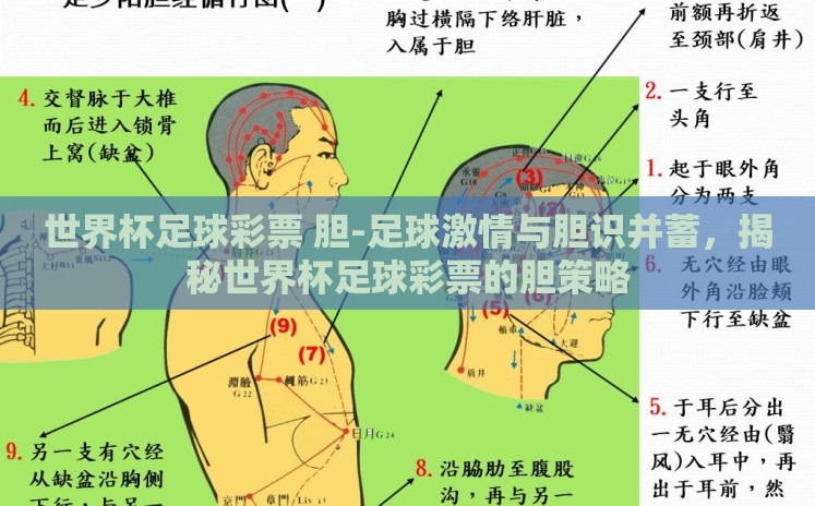 世界杯足球彩票 胆-足球激情与胆识并蓄,揭秘世界杯足球彩票的胆策略 世界杯足球彩票 胆-足球激情与胆识并蓄,揭秘世界杯足球彩票的胆策略