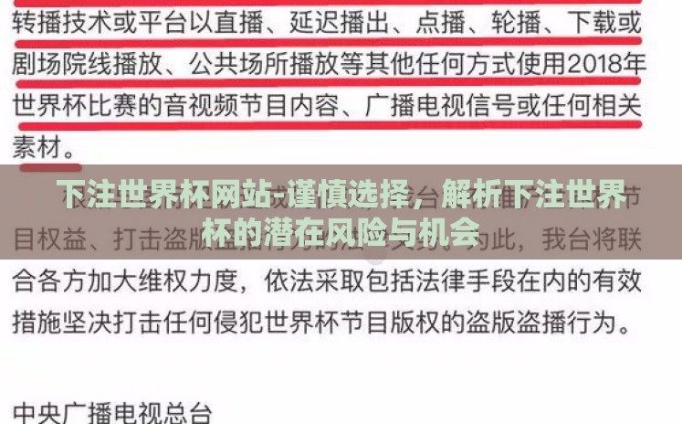 下注世界杯网站-谨慎选择，解析下注世界杯的潜在风险与机会