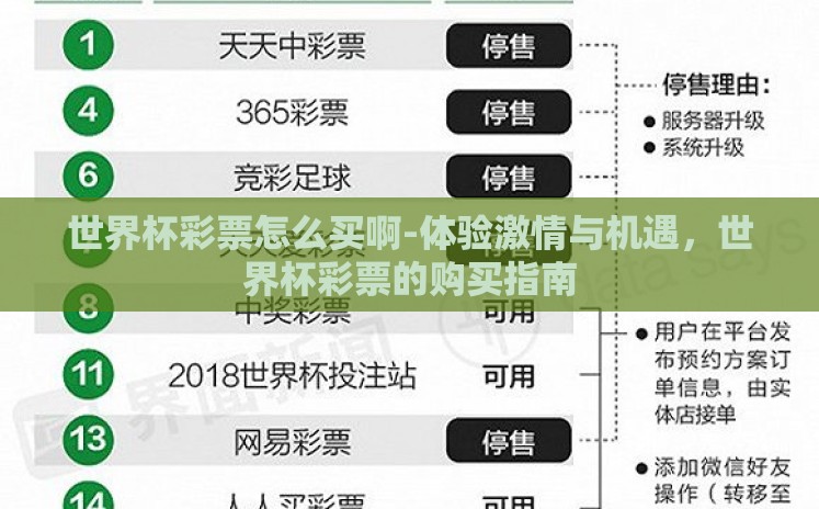 世界杯彩票怎么买啊-体验激情与机遇,世界杯彩票的购买指南 世界杯彩票怎么买啊-体验激情与机遇,世界杯彩票的购买指南