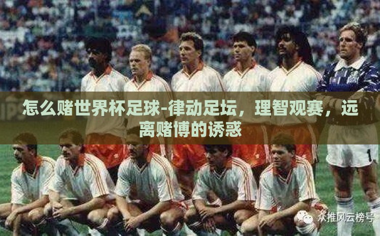 怎么赌世界杯足球-律动足坛,理智观赛,远离赌博的诱惑 怎么赌世界杯足球-律动足坛,理智观赛,远离赌博的诱惑