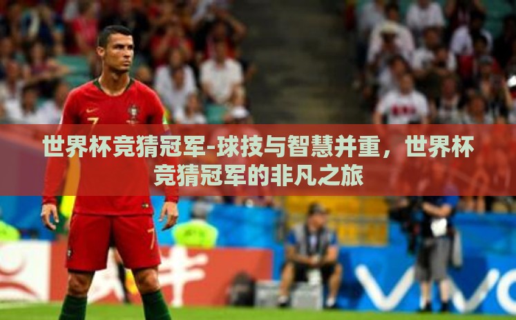 世界杯竞猜冠军-球技与智慧并重,世界杯竞猜冠军的非凡之旅 世界杯竞猜冠军-球技与智慧并重,世界杯竞猜冠军的非凡之旅
