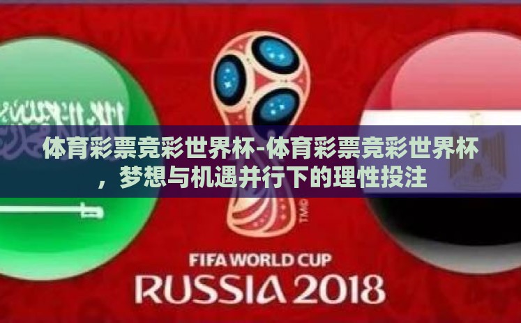体育彩票竞彩世界杯-体育彩票竞彩世界杯，梦想与机遇并行下的理性投注