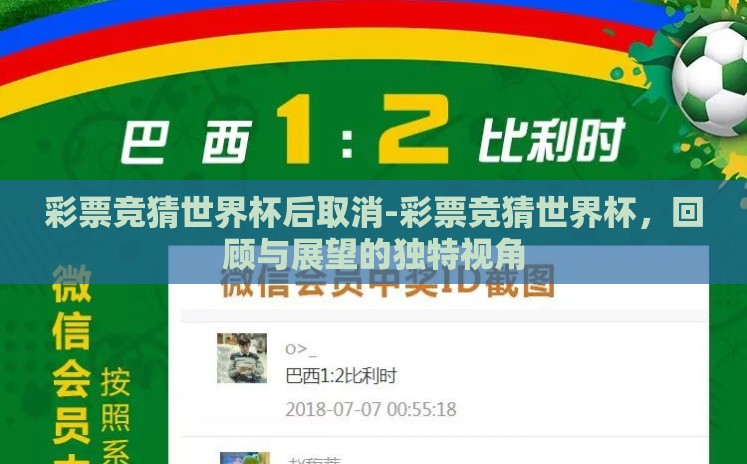 彩票竞猜世界杯后取消-彩票竞猜世界杯，回顾与展望的独特视角