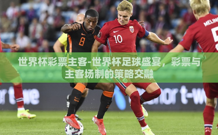 世界杯彩票主客-世界杯足球盛宴,彩票与主客场制的策略交融 世界杯彩票主客-世界杯足球盛宴,彩票与主客场制的策略交融