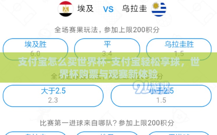 支付宝怎么买世界杯-支付宝轻松享球,世界杯购票与观赛新体验 支付宝怎么买世界杯-支付宝轻松享球,世界杯购票与观赛新体验