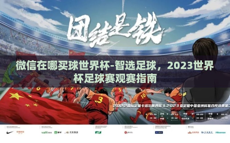 微信在哪买球世界杯-智选足球，2023世界杯足球赛观赛指南
