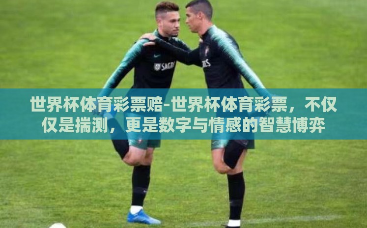 世界杯体育彩票赔-世界杯体育彩票,不仅仅是揣测,更是数字与情感的智慧博弈 世界杯体育彩票赔-世界杯体育彩票,不仅仅是揣测,更是数字与情感的智慧博弈