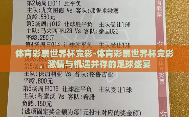 体育彩票世界杯竞彩-体育彩票世界杯竞彩，激情与机遇并存的足球盛宴
