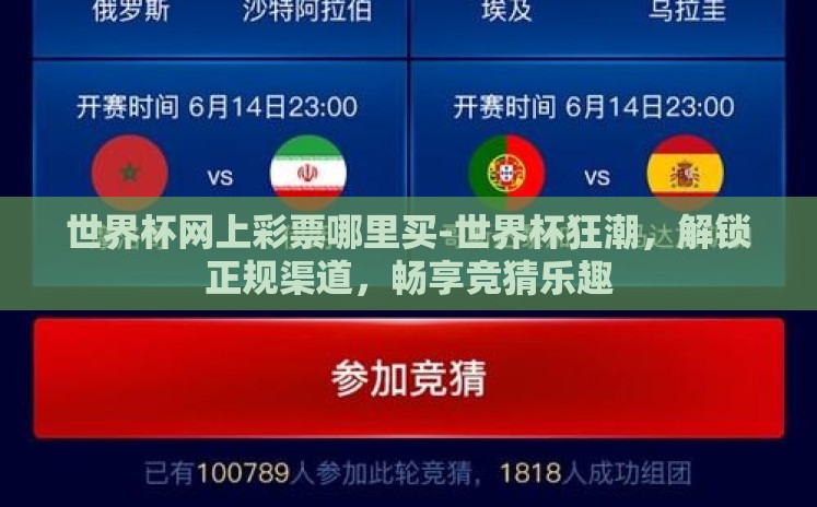 世界杯网上彩票哪里买-世界杯狂潮，解锁正规渠道，畅享竞猜乐趣