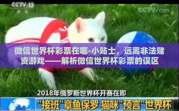 微信世界杯彩票在哪-小贴士,远离非法赌资游戏——解析微信世界杯彩票的误区 微信世界杯彩票在哪-小贴士,远离非法赌资游戏——解析微信世界杯彩票的误区