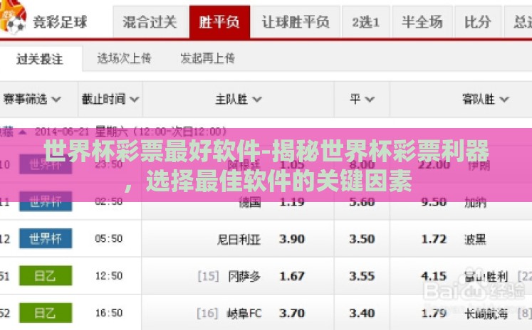 世界杯彩票最好软件-揭秘世界杯彩票利器，选择最佳软件的关键因素