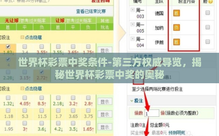 世界杯彩票中奖条件-第三方权威导览，揭秘世界杯彩票中奖的奥秘