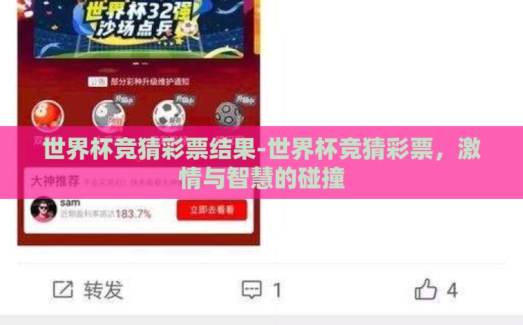 世界杯竞猜彩票结果-世界杯竞猜彩票，激情与智慧的碰撞
