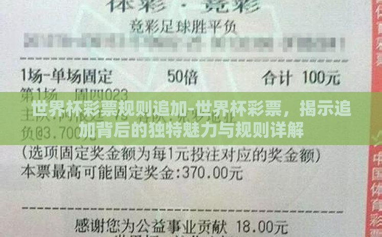 世界杯彩票规则追加-世界杯彩票，揭示追加背后的独特魅力与规则详解