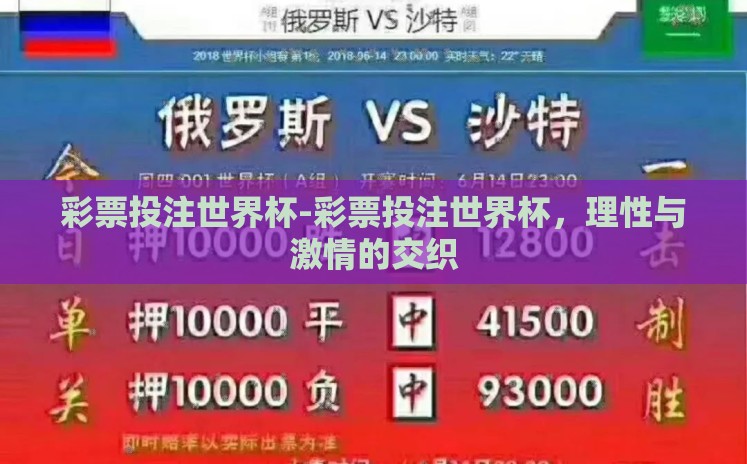 彩票投注世界杯-彩票投注世界杯，理性与激情的交织