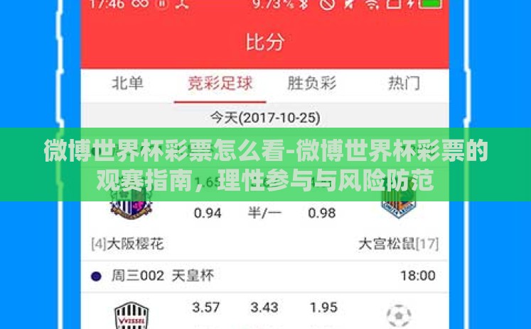 微博世界杯彩票怎么看-微博世界杯彩票的观赛指南，理性参与与风险防范