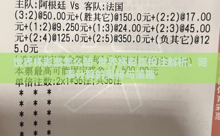 世界杯彩票怎么赔-世界杯彩票投注解析，赔率计算的奥秘与策略
