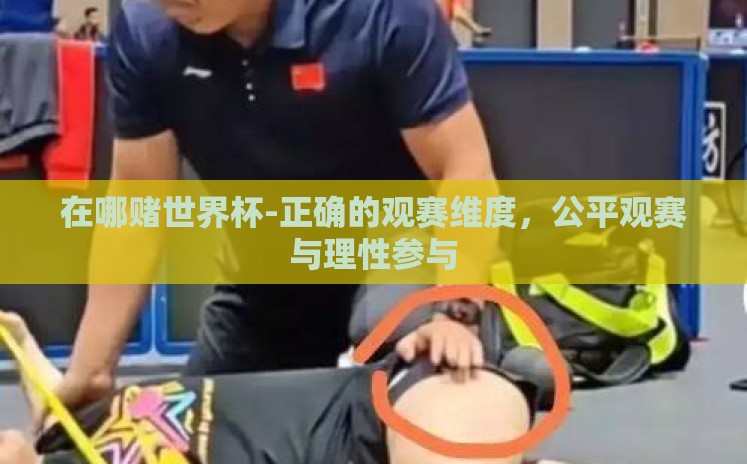 在哪赌世界杯-正确的观赛维度，公平观赛与理性参与
