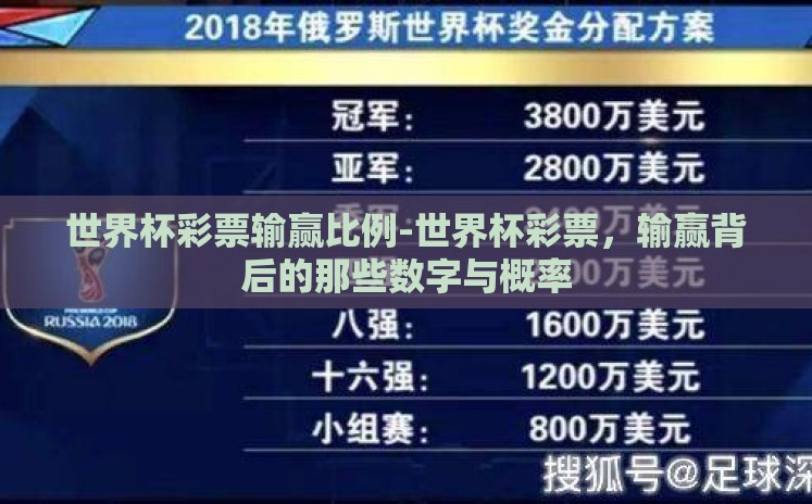 世界杯彩票输赢比例-世界杯彩票，输赢背后的那些数字与概率