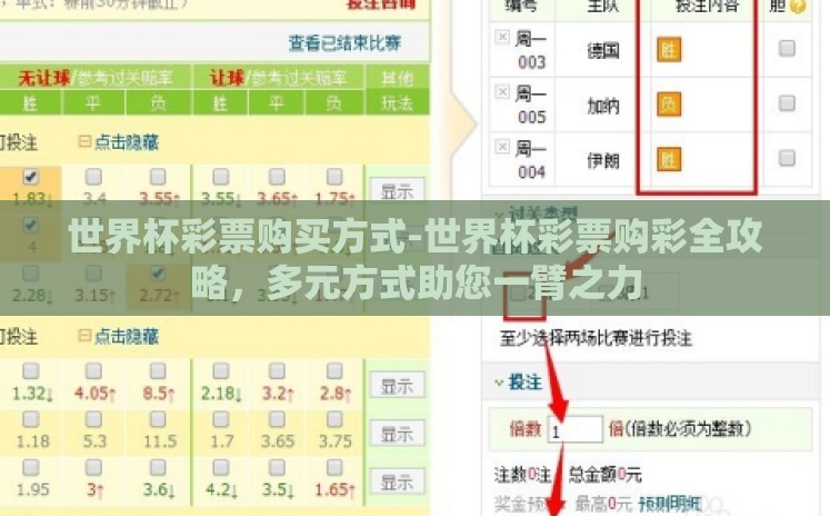 世界杯彩票购买方式-世界杯彩票购彩全攻略，多元方式助您一臂之力