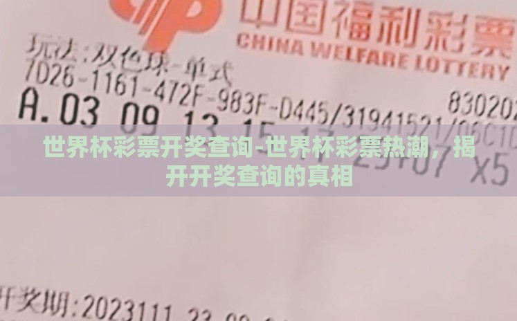 世界杯彩票开奖查询-世界杯彩票热潮，揭开开奖查询的真相