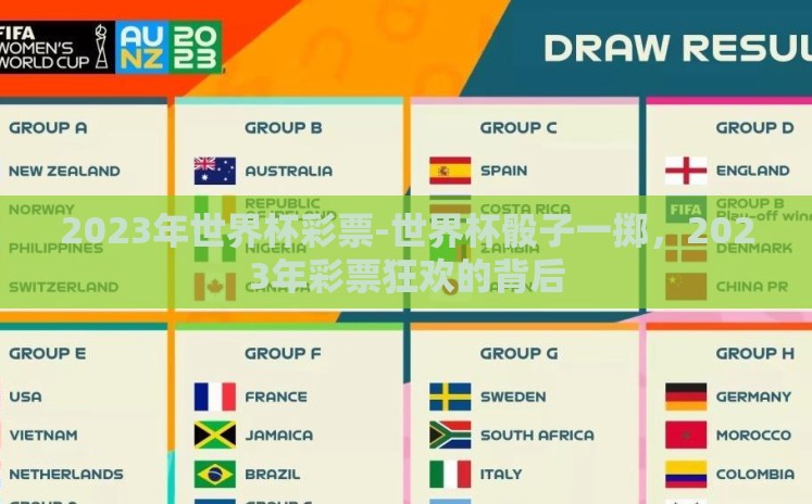 2023年世界杯彩票-世界杯骰子一掷，2023年彩票狂欢的背后