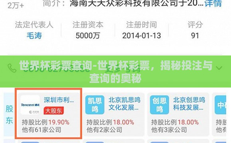 世界杯彩票查询-世界杯彩票，揭秘投注与查询的奥秘