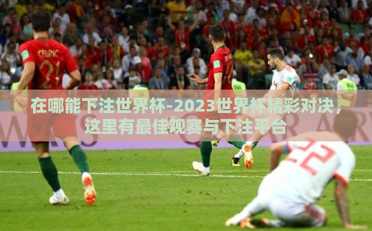 在哪能下注世界杯-2023世界杯精彩对决，这里有最佳观赛与下注平台