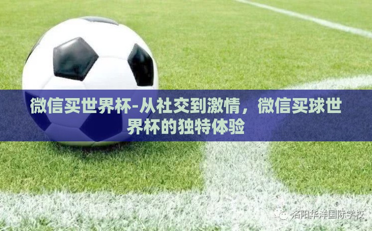 微信买世界杯-从社交到激情，微信买球世界杯的独特体验