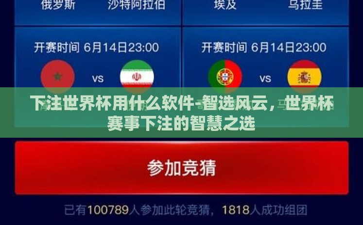 下注世界杯用什么软件-智选风云，世界杯赛事下注的智慧之选